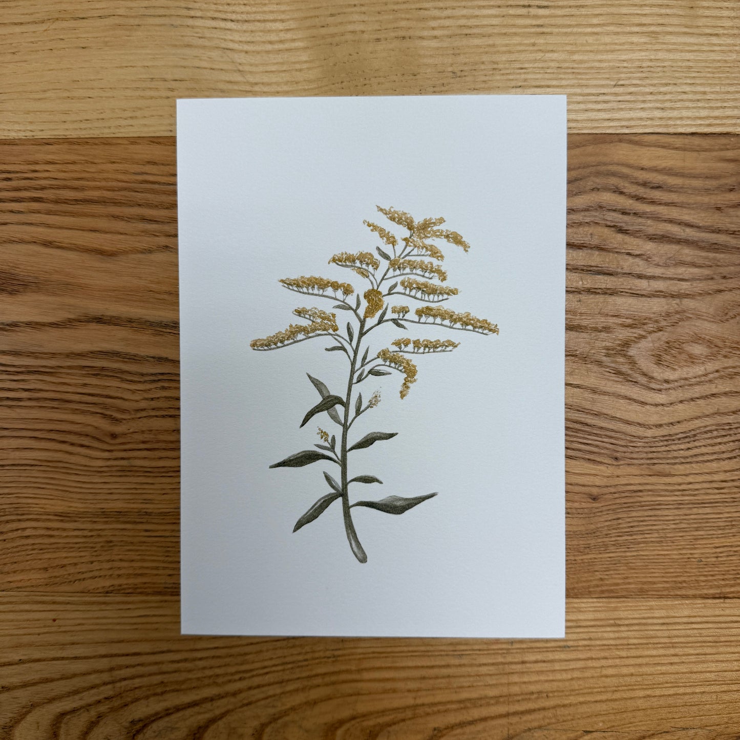 Abbie Marie Studios Art Prints | 5 x 7 inch