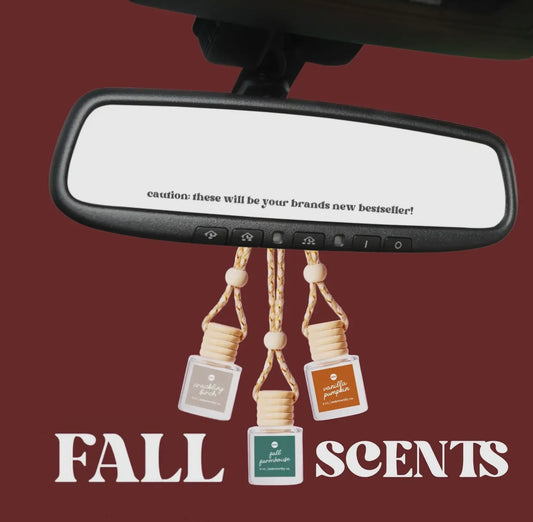 Fall 🍂 Car Diffuser