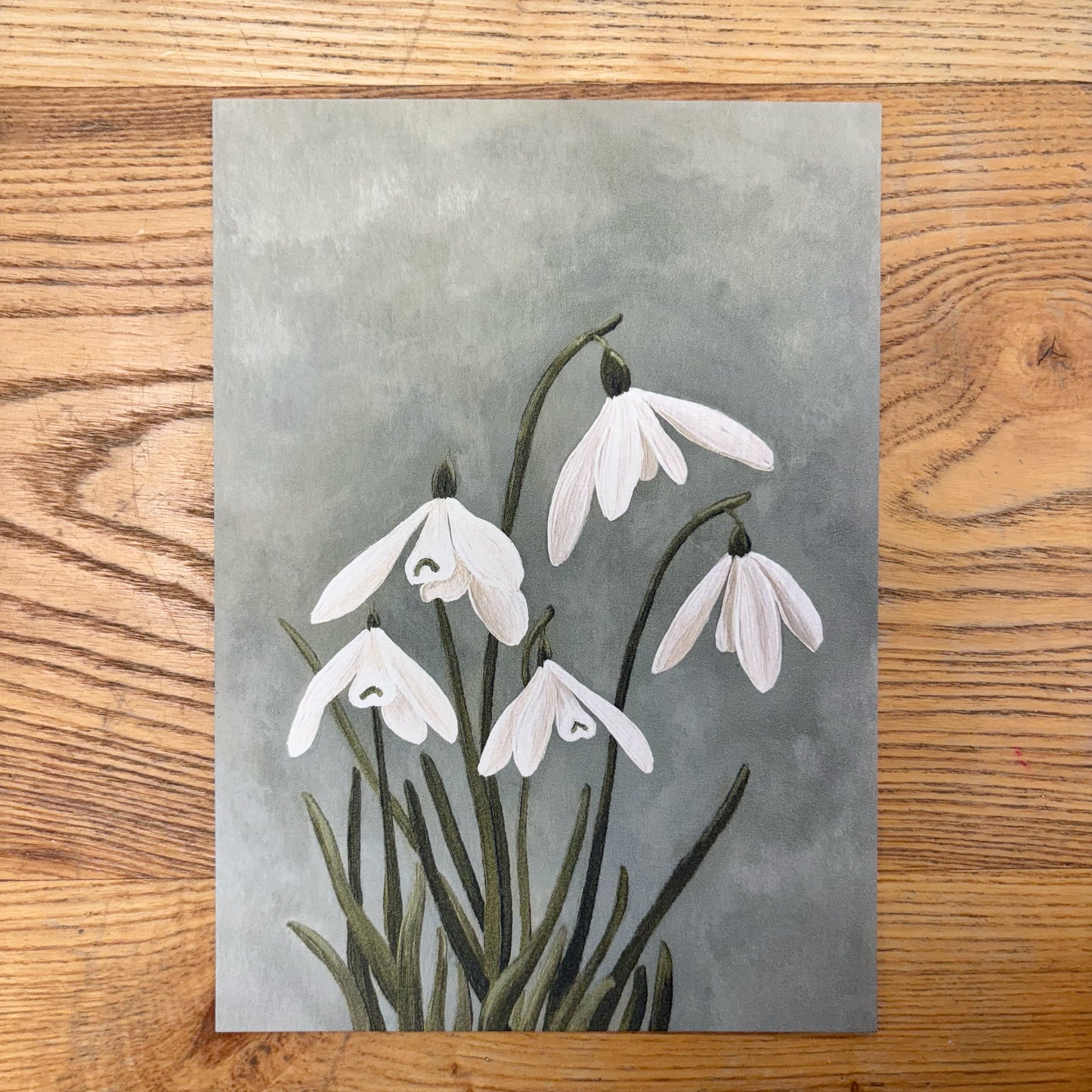 Abbie Marie Studios Art Prints | 5 x 7 inch