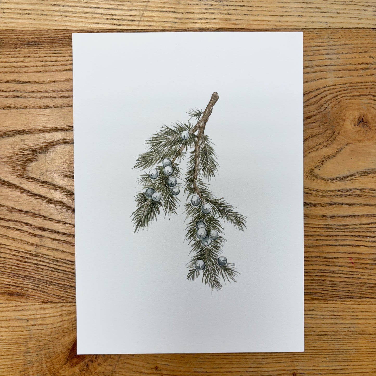 Abbie Marie Studios Art Prints | 5 x 7 inch