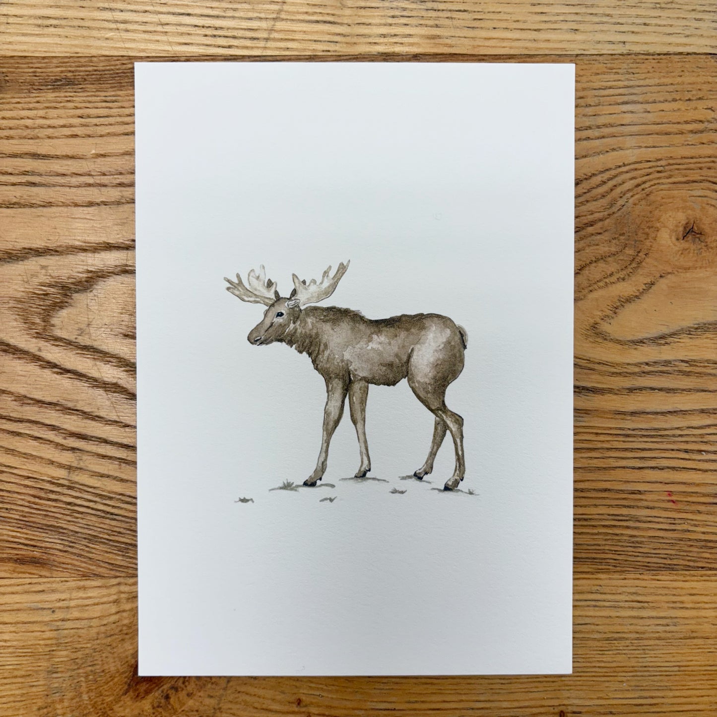 Abbie Marie Studios Art Prints | 5 x 7 inch