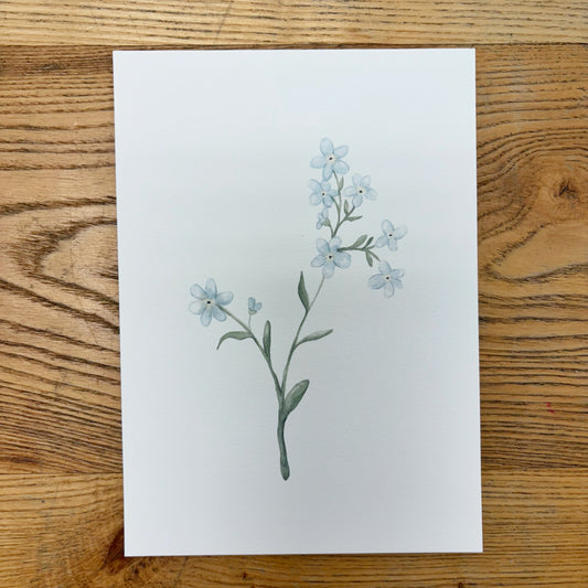Forget Me Not