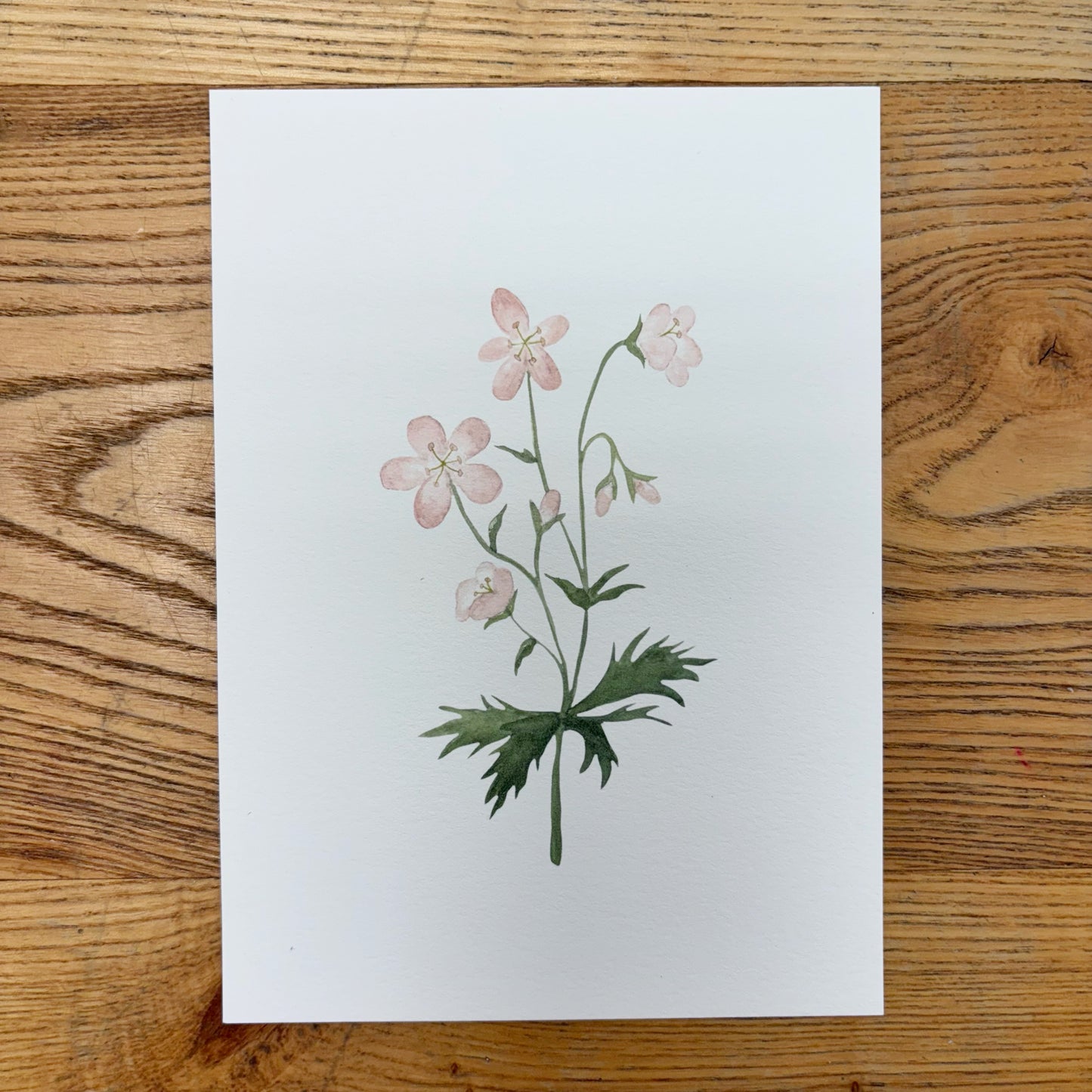 Abbie Marie Studios Art Prints | 5 x 7 inch