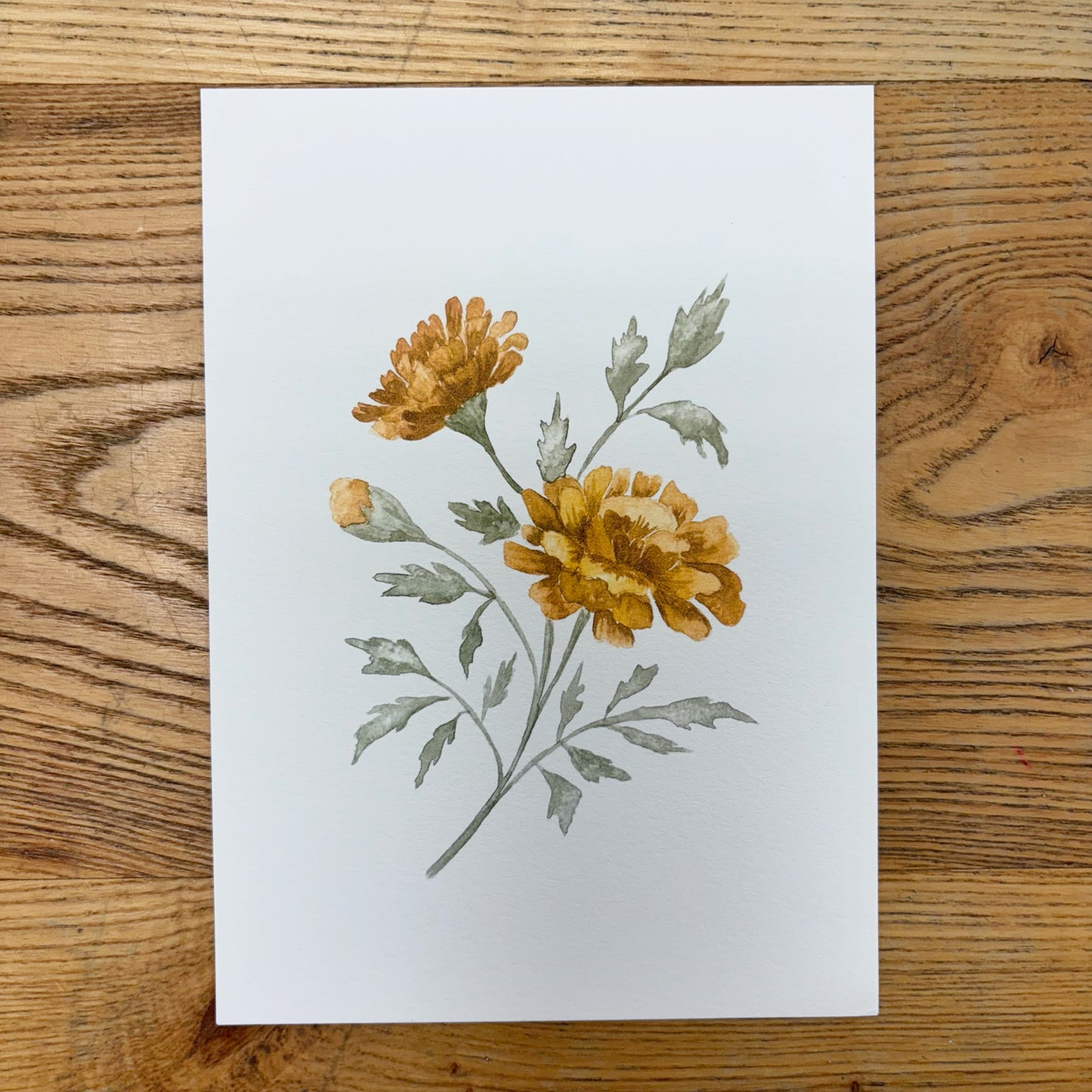 Abbie Marie Studios Art Prints | 5 x 7 inch