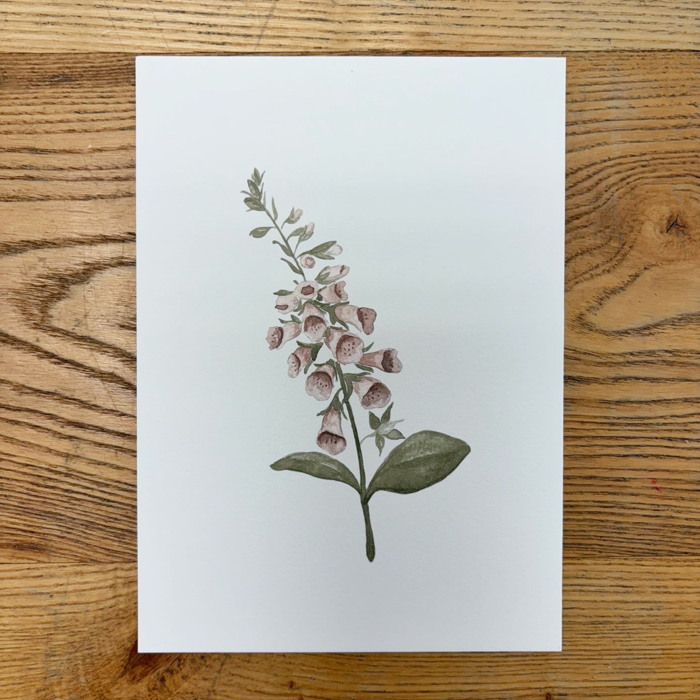 Abbie Marie Studios Art Prints | 5 x 7 inch