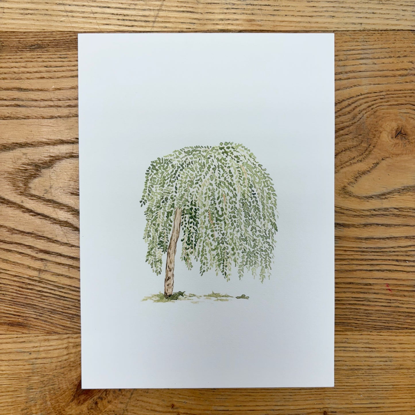 Abbie Marie Studios Art Prints | 5 x 7 inch