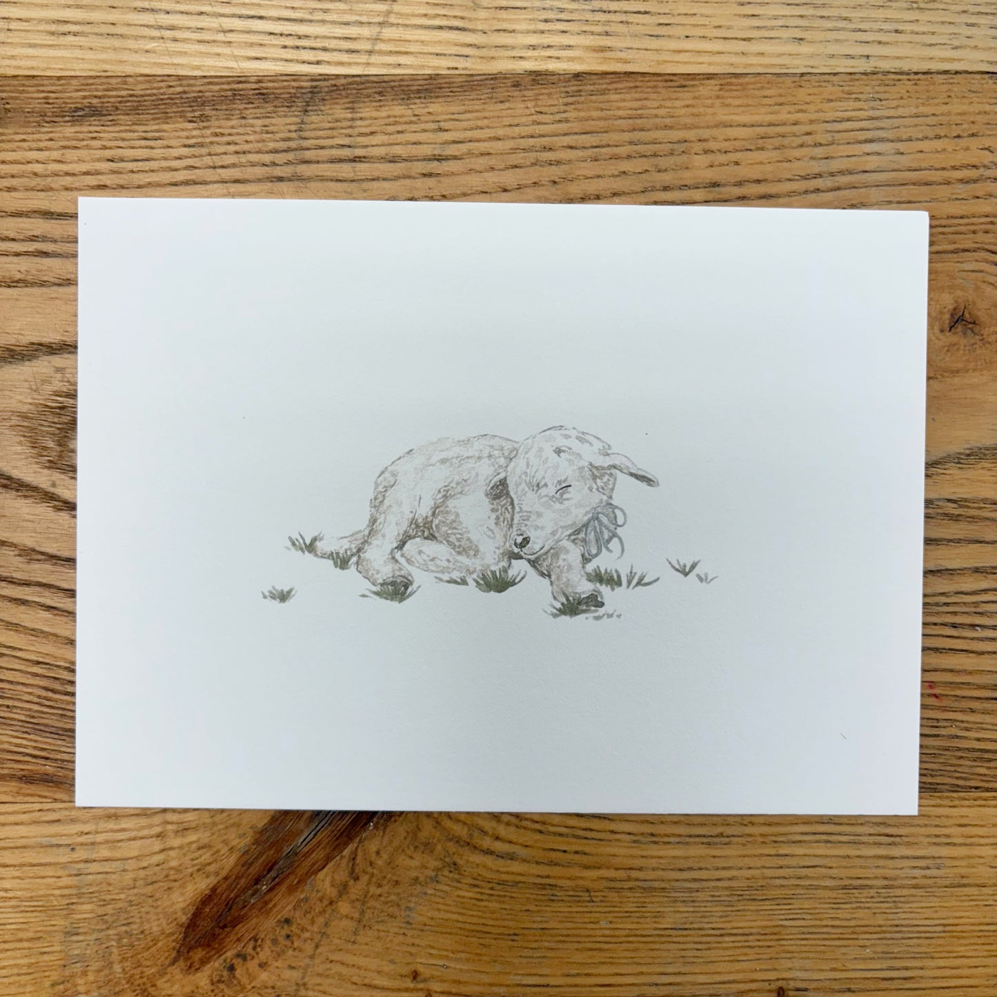 Abbie Marie Studios Art Prints | 5 x 7 inch