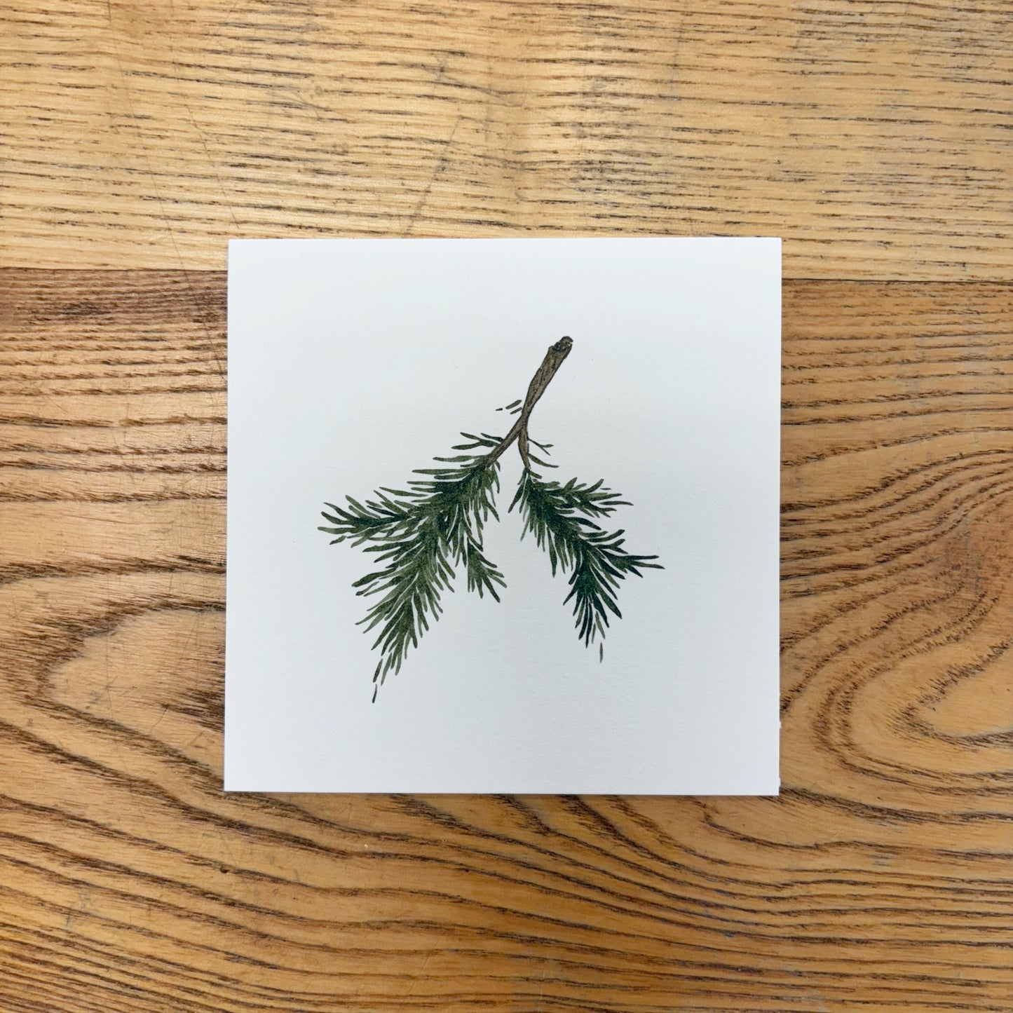 Abbie Marie Studios 4x4 Art Prints