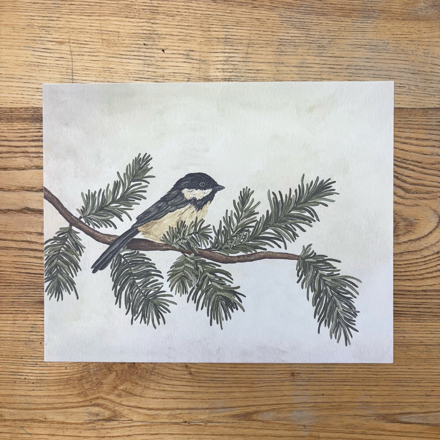 Abbie Marie Studios 8x10 Art Prints