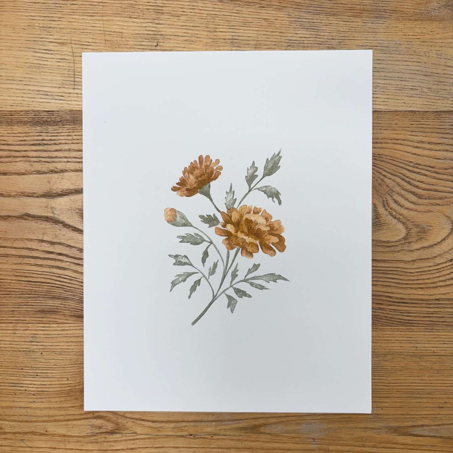 Abbie Marie Studios 8x10 Art Prints