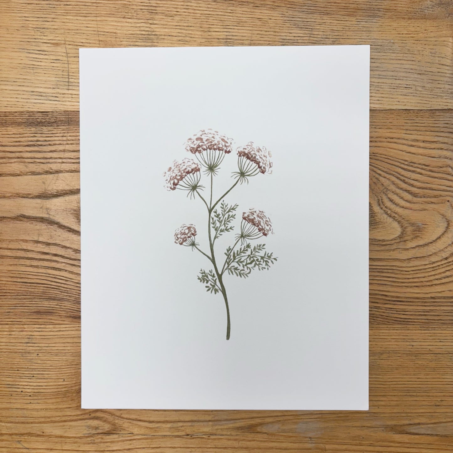 Abbie Marie Studios 8x10 Art Prints