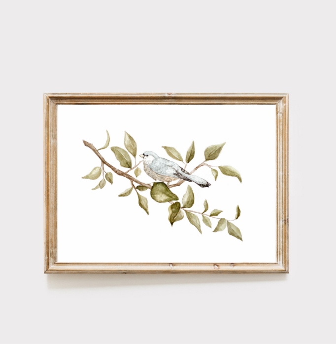 Art Print | Little Bluebird