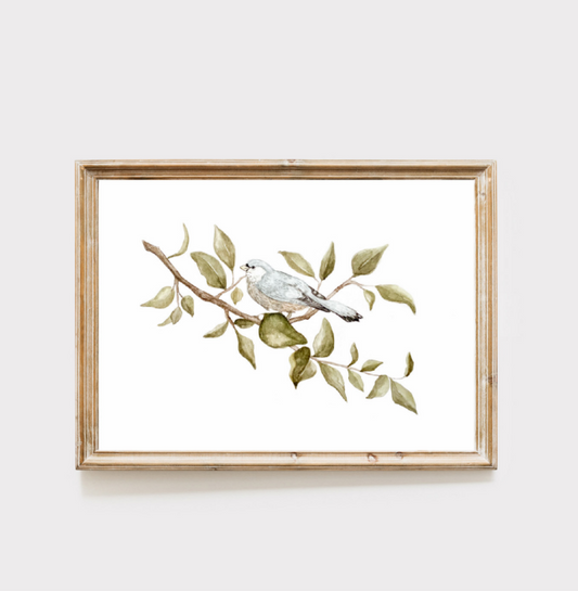 Art Print | Little Bluebird