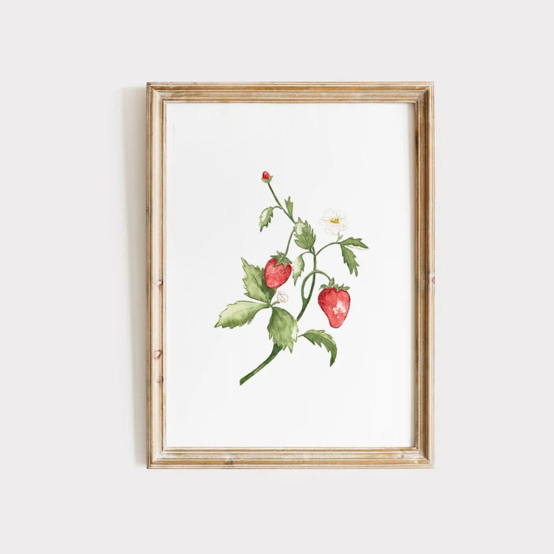 Abbie Marie Studios 8x10 Art Prints