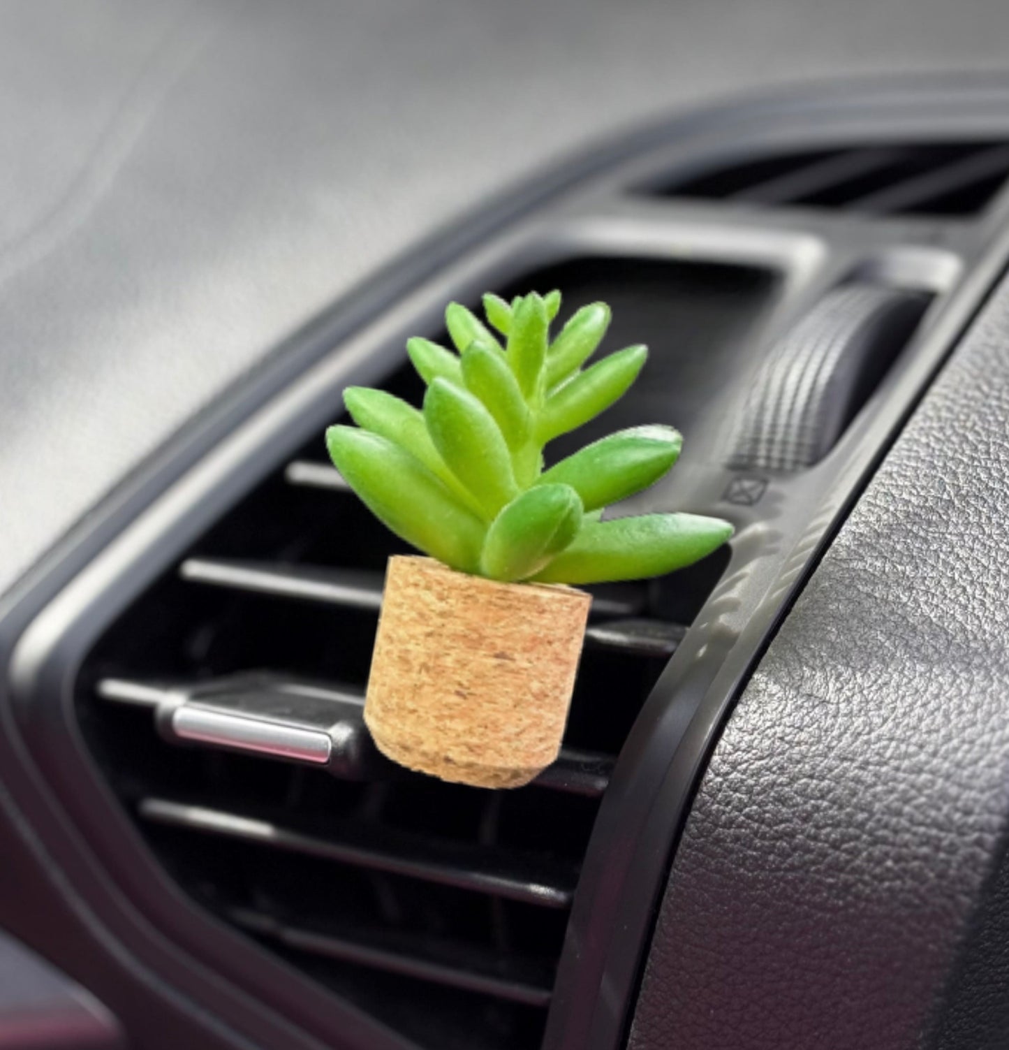 Plant Car Diffuser - Succulent