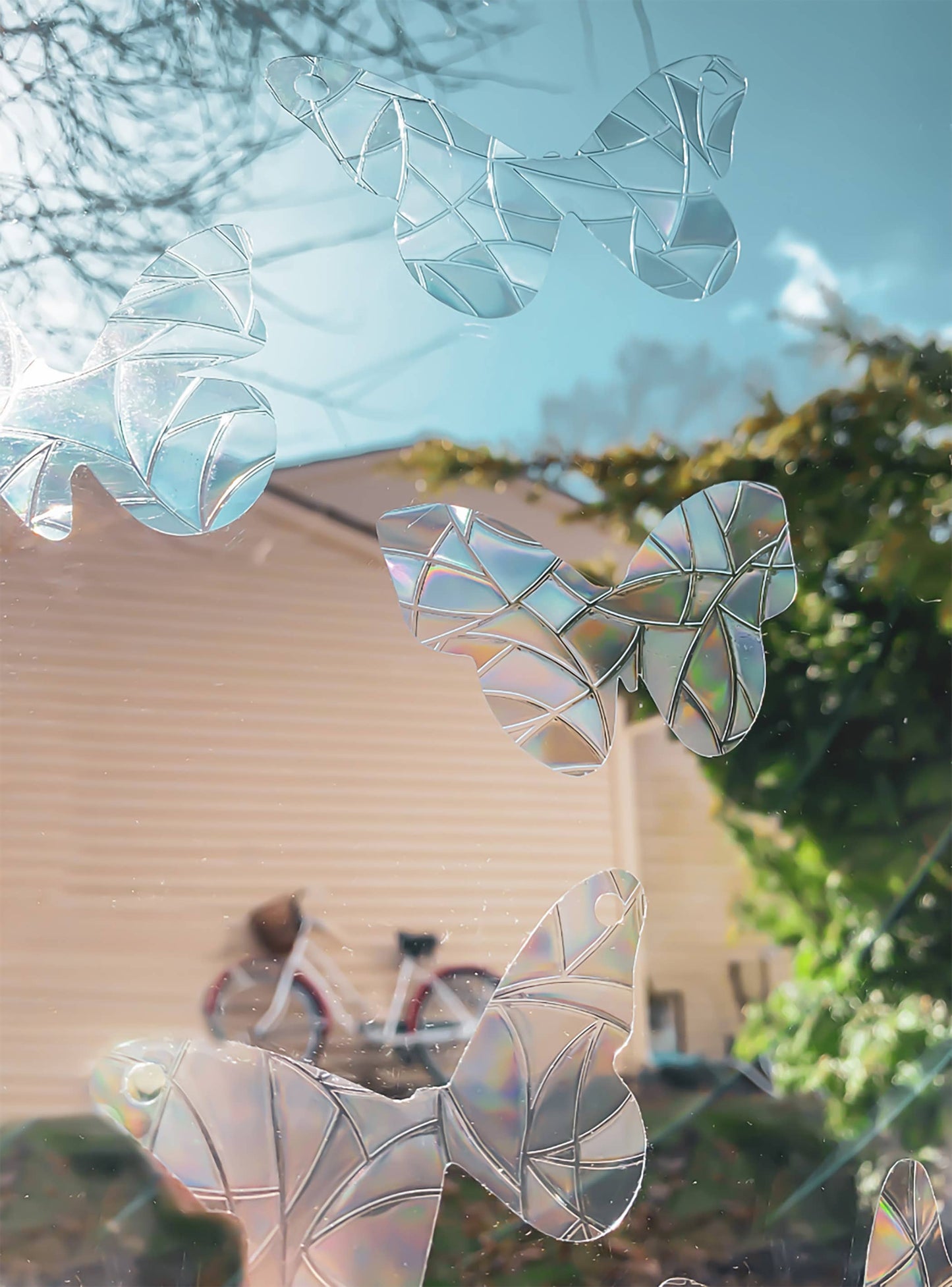 Suncatcher Pack - Flying Butterflies