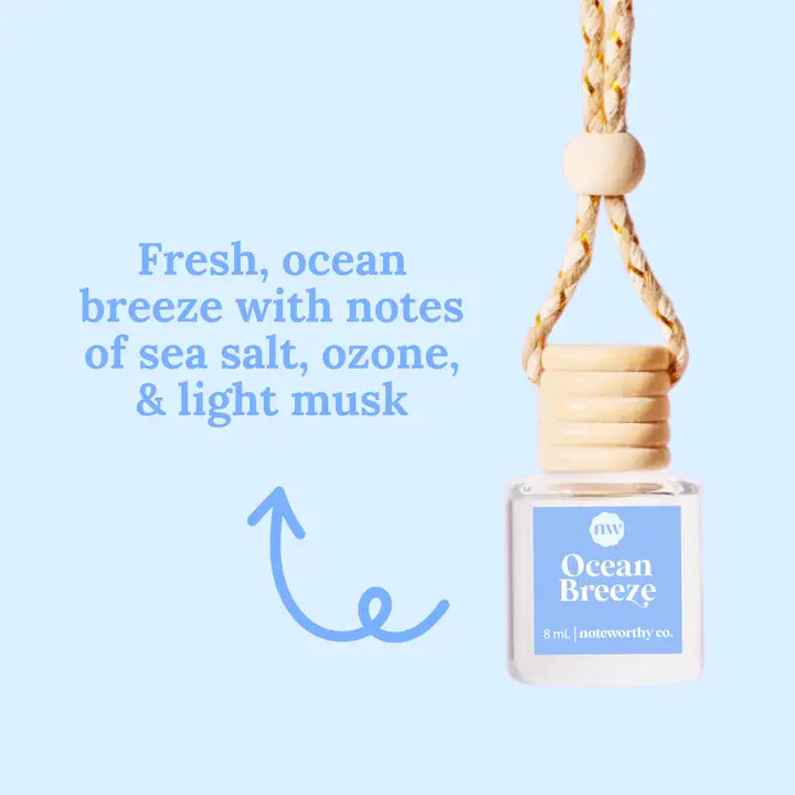 Signature ✨ Car Diffuser