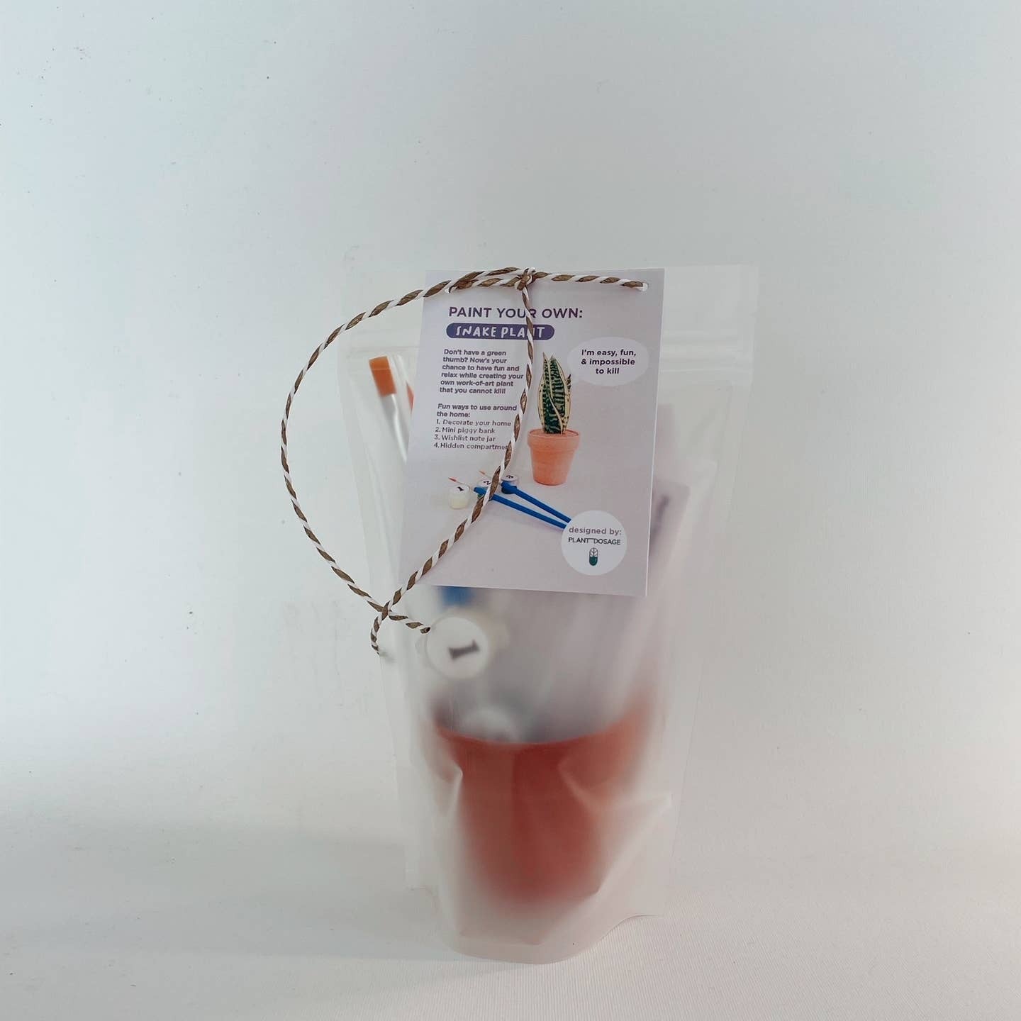 Paint Your Own Snake Plant