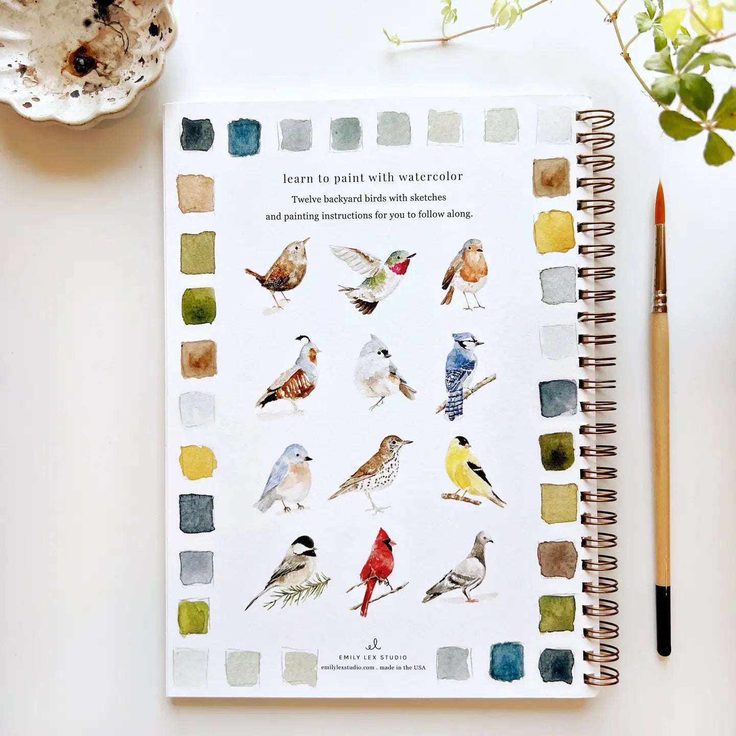 Watercolor Workbook - Birds