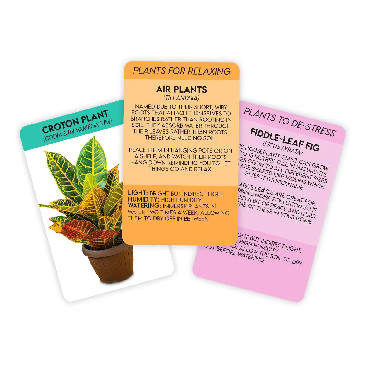 Positive Plants Card Set