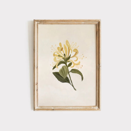 Art Print | Honeysuckle