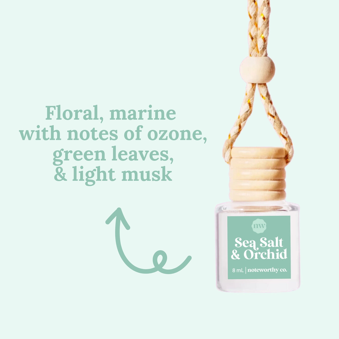 Signature ✨ Car Diffuser